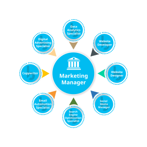 Bank Marketing Org Chart